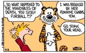 SusieandHobbes.png