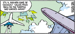 Calvin the Airline Pilot 2