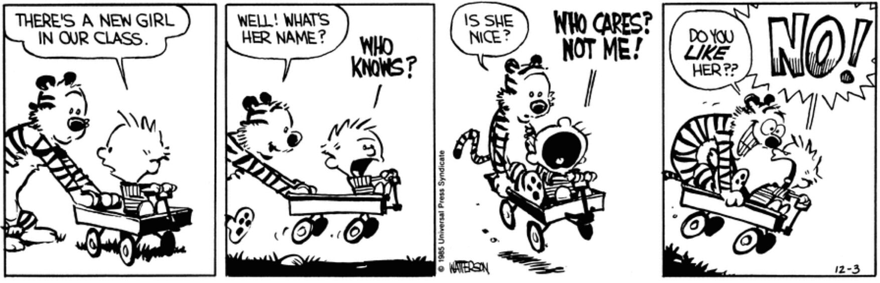 calvin and hobbes math comics