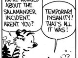 Salamander Incident