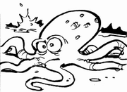 Octopus.png