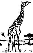 Giraffe.png
