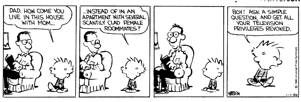 Television | The Calvin And Hobbes Wiki | Fandom