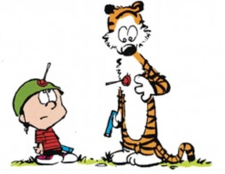 calvin and hobbes color