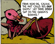 Calvin the Ant 2.png