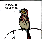 Song Sparrow 1.png