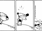 Calvin's snowballs