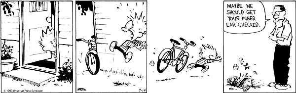 Vintage Calvin &amp; Hobbes - The Paceline Forum