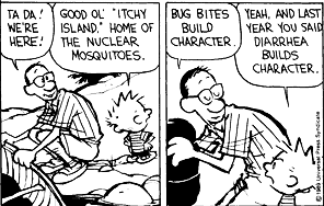 Calvin & Hobbes' Best Summer Adventures