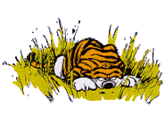 Calvin&HobbesPounce.gif (46 KB) Calvin&HobbesPounce