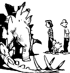 Stegosaurus Model