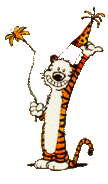 Hobbes party