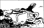 Octopus 2.png