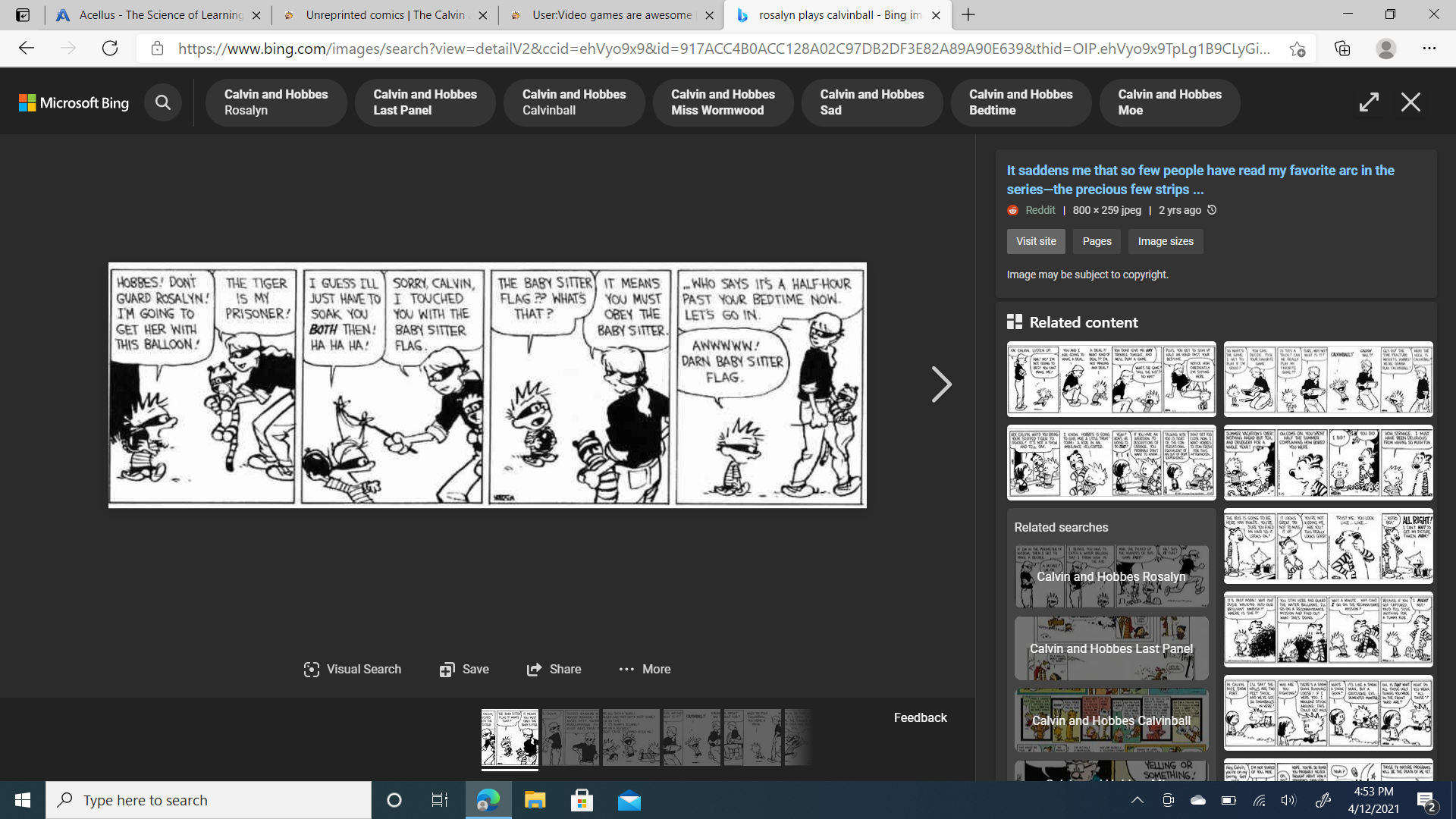 Calvinball The Calvin And Hobbes Wiki Fandom