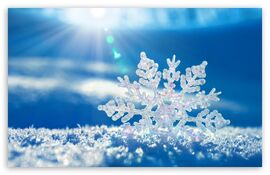 Snowflake-t2.jpg