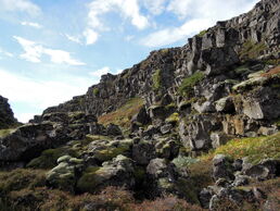 Dscn9222.jpg