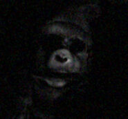 The ManBearPig, obscured in the dark.