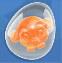 Egg orange monkling