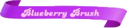Blueberry-Brush.png