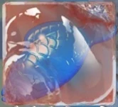 5894.jpg (11 KB) A blue jelly fish in marmalade