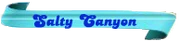 Salty-Canyon.png