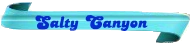 Salty-Canyon