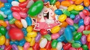 Tiffi under the candies