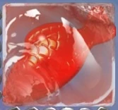 A red jelly fish in marmalade