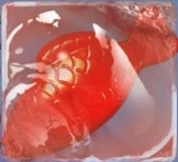 Red Jelly Fish in marmalade