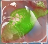 A green jelly fish in marmalade