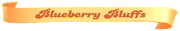Blueberry-Bluffs.png