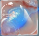 A blue jelly fish in marmalade