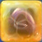 Purple jelly(h1)