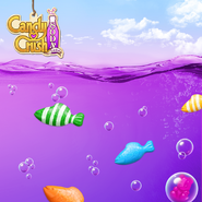 Fishing Tournament cover