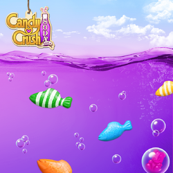 Candy Crush Soda Saga - Aaw! Kimmy caught a fish! 󾌸󾮞 Reel in