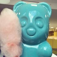 Nom nom! The Candy Bears LOVE candy floss. ☺️🍡