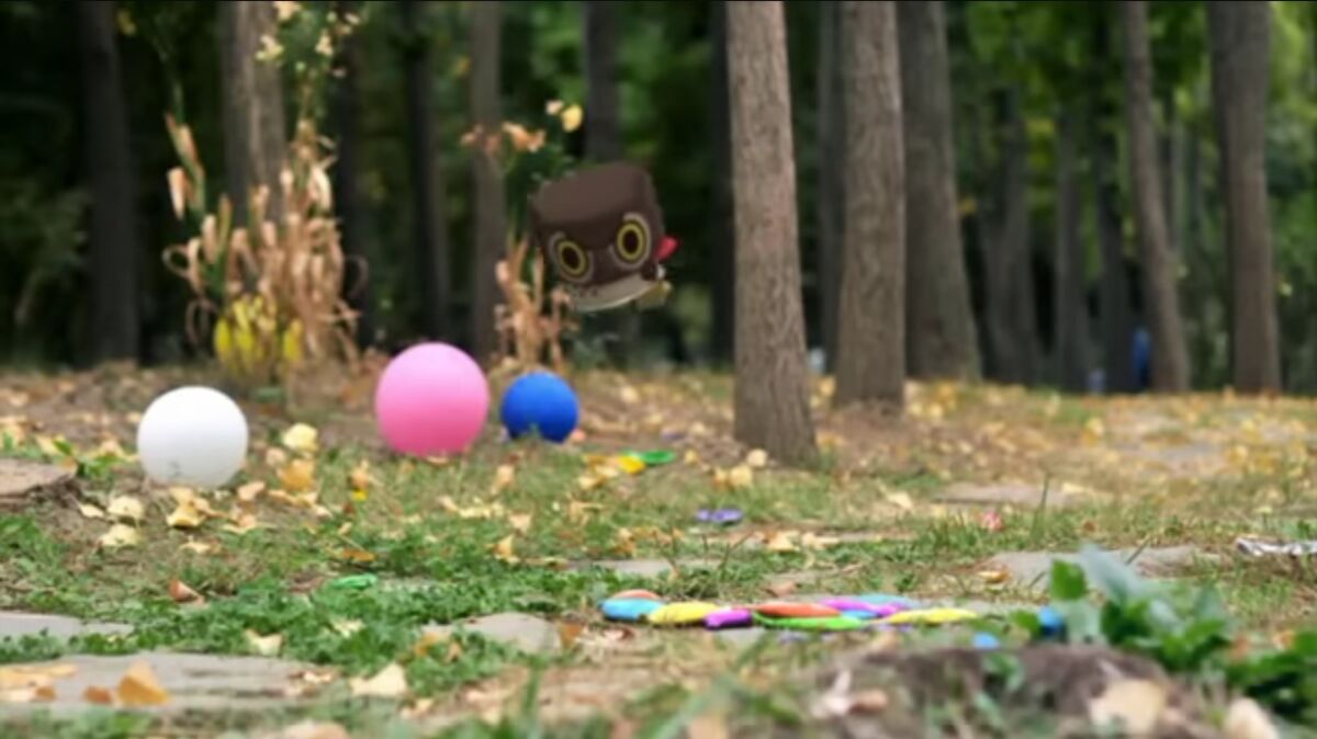 Coco Canimals Prototype Project Wiki Fandom Coco Canimals Prototype Project Wiki Fandom