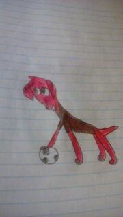 Soccer dash hound