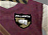 Escudo Beta