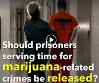 Should prisoners serving time for marijuana-related crimes be released