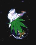 Dove cannabis earth