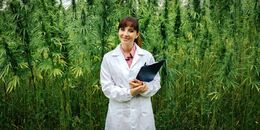 Doctors for Cannabis Regulation