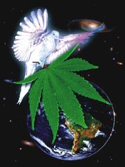 Dove cannabis earth 4