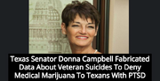 Texas state Senator Donna Campbell.png