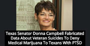 Texas state Senator Donna Campbell