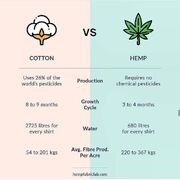 Cotton versus hemp