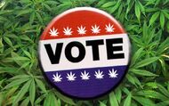 Vote cannabis