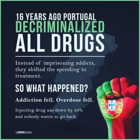 Portugal's decriminalization. Original.jpg