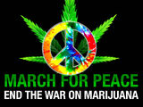 Basic 2012 Global Marijuana March city list