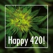 420